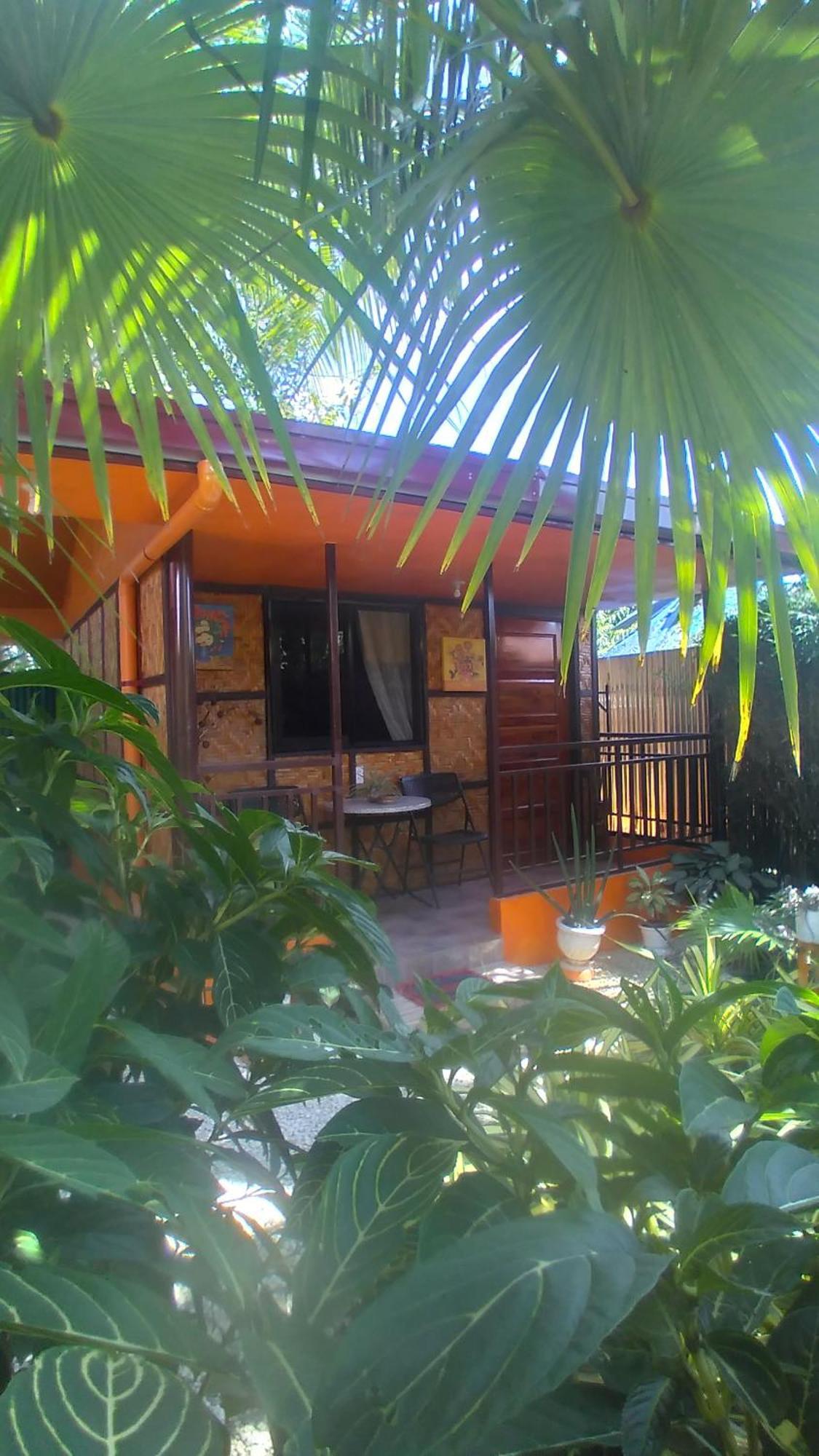 Adrianas Place Panglao Hostel ภายนอก รูปภาพ